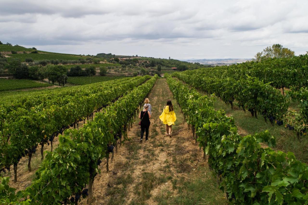 Wine Estate Paradiso Di Cacuci Farm stay